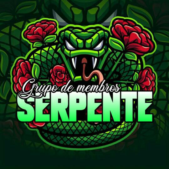 Imagem do grupo [🐍] ⓿.❸♔𝚜ϙ∂♔ |•Serpente🐍⃤