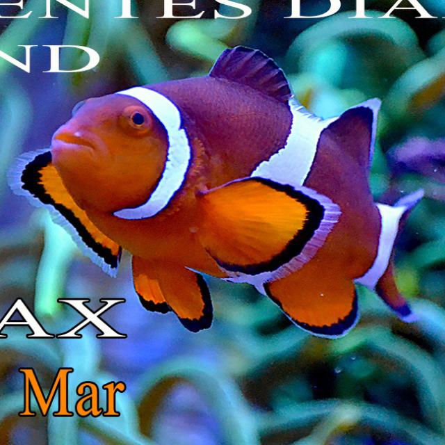 Imagem do grupo Músicas para Terapias