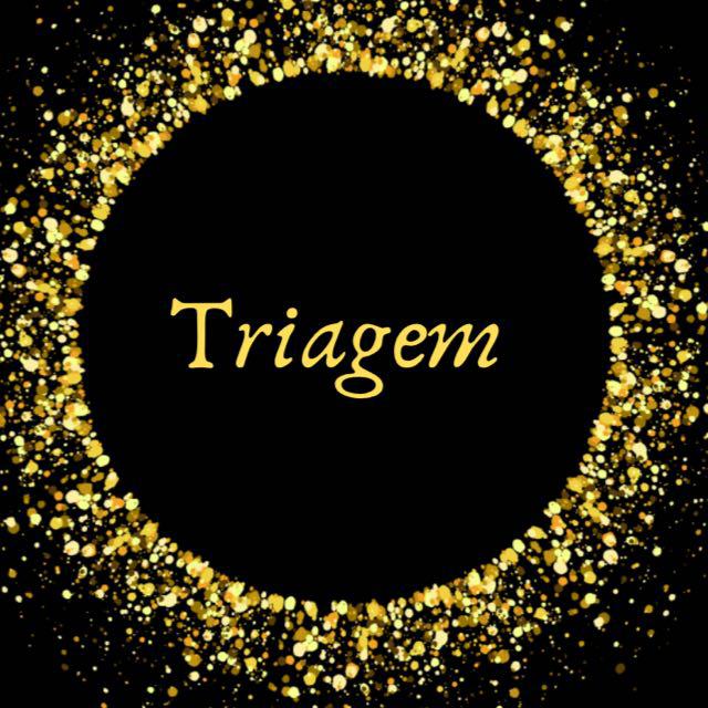 Imagem do grupo TRIAGEM ASSESSORIA
