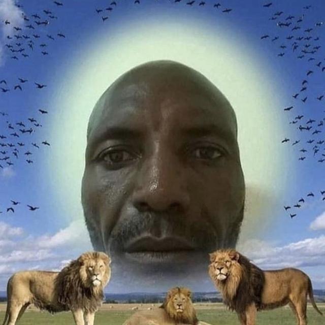 Imagem do grupo Grupo dos retardados✨