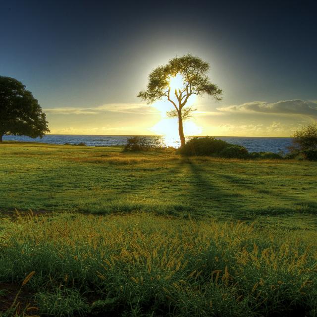 Imagem do grupo Novas amizades. Piauí 🍃💥