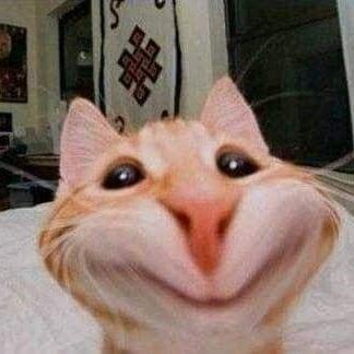 Imagem do grupo Amigos da Zueira 2024🥱🔥