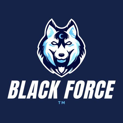 Imagem do grupo ʙʟᴀᴄᴋ ғᴏʀᴄᴇ™