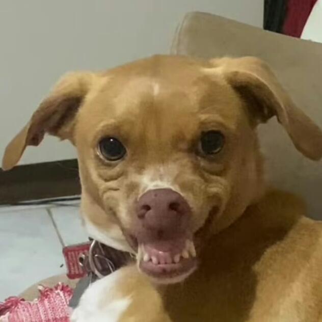 Imagem do grupo amiguinhos. 🤍