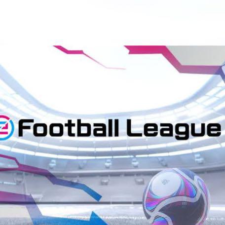 Imagem do grupo LIGA EOFOOTBALL 24 EPE