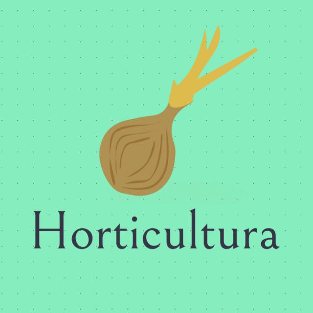 Imagem do grupo HORTICULTURA BR 🚜🌱🪴