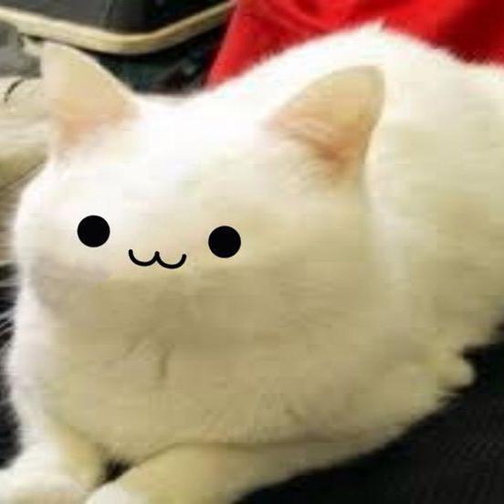 Imagem do grupo ՏᎻᏆͲᏢϴՏͲᎬᎡ ΝᎪ̃ϴ ᎷϴᎡᎡᎬႮ