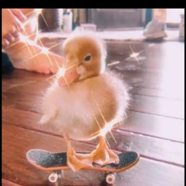 Imagem do grupo FRINDZONE💙🍃🍃