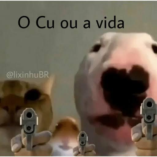 Imagem do grupo XISHIPOSTI RAIS do Levy🔱