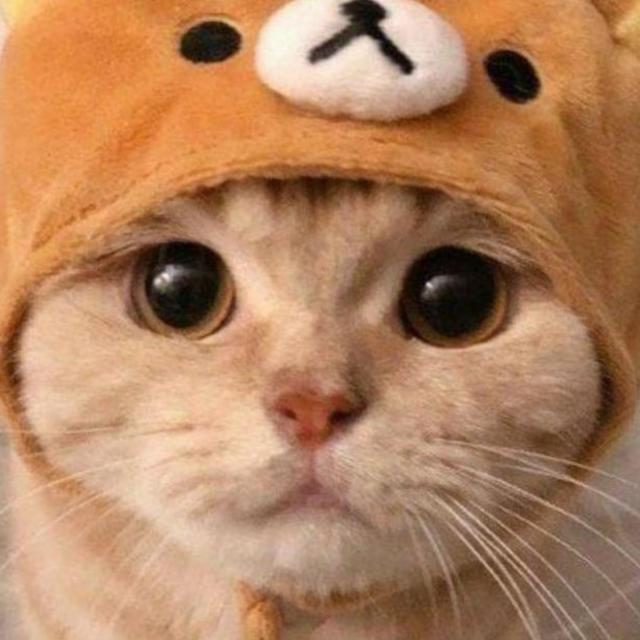Imagem do grupo 🔥፝⃟GRUPO DE FIGURINHASོ🐈