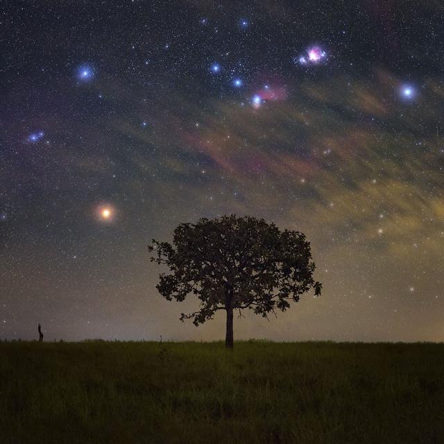 Imagem do grupo Amizades 062