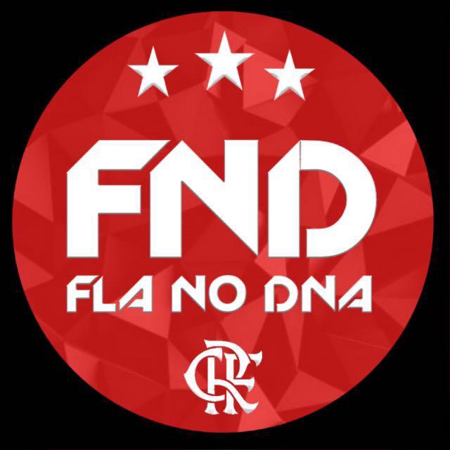 Imagem do grupo @FlaNoDNA