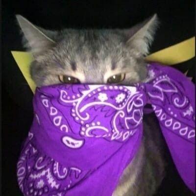 Imagem do grupo ᑭ ᗩ ᑭ O ᔕ ᗩ ᒪ E ᗩ T O ᖇ I O