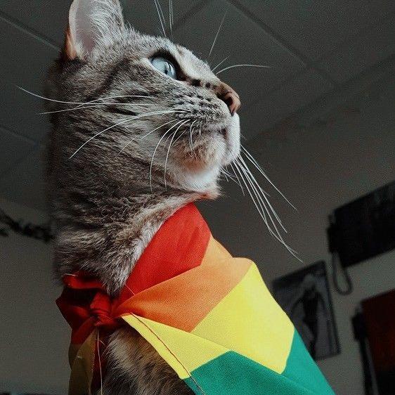 Imagem do grupo ༻𝙾𝚞𝚛 𝙿𝚕𝚊𝚗𝚎𝚝༺ 🏳️🌈