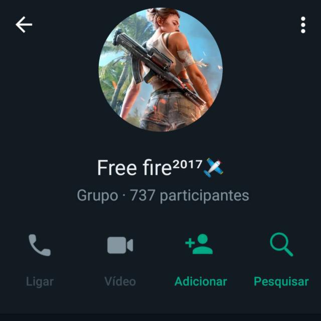 Imagem do grupo Free fire²⁰¹⁷🛩️