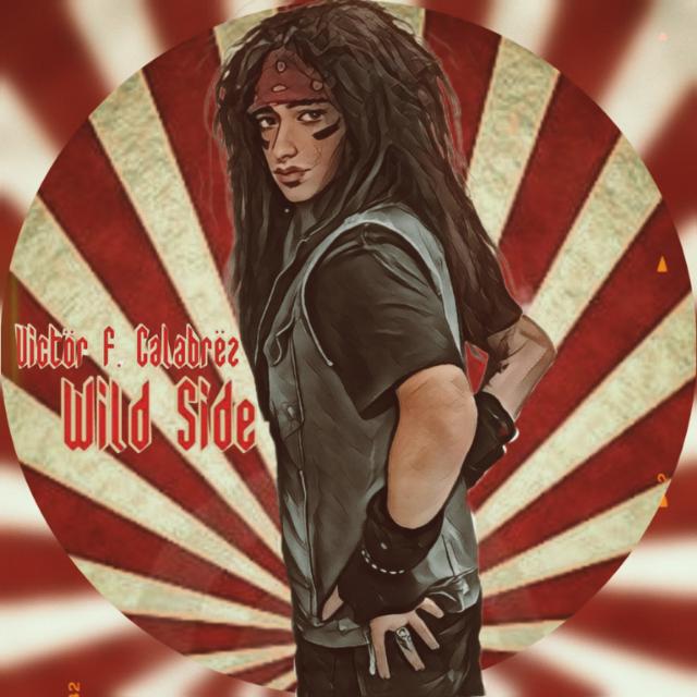 Imagem do grupo Wild Side of Rock