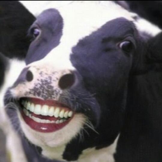 Imagem do grupo Nata da nata 2.0