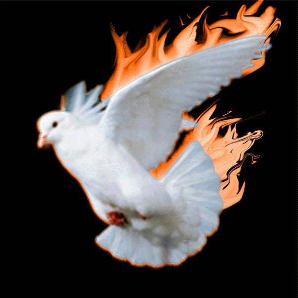 Imagem do grupo Perrequeiros de plantão🔥 fogo nessa moita 🔥🎇🎆🎇🎆