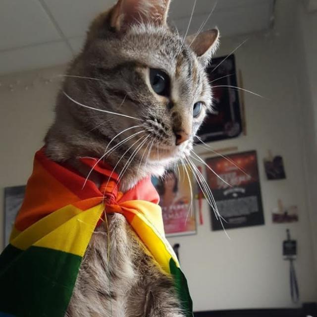 Imagem do grupo AMIZADES