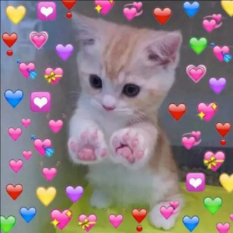 Imagem do grupo 🔥 ғɪɢᴜʀɪɴʜᴀs 🔥