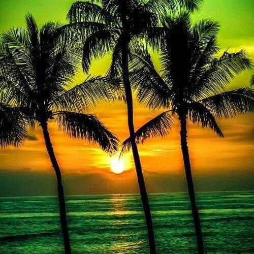 Imagem do grupo Amizades Brasil 🇧🇷