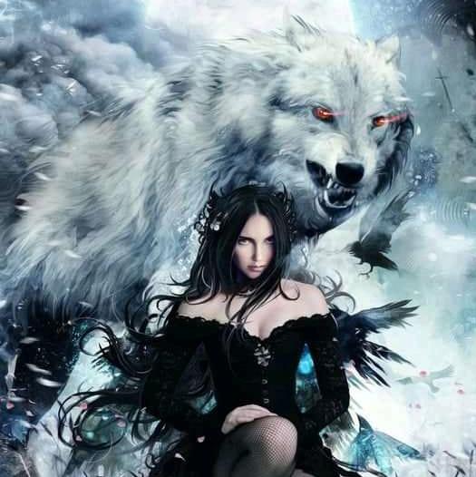 Imagem do grupo Alcateia 2