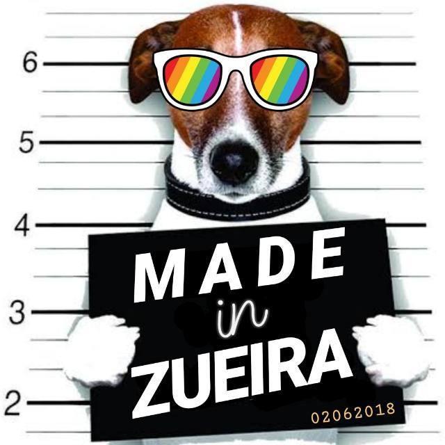 Imagem do grupo #1°🍸🎭MADE IN ZUEIRA 🎭🍸