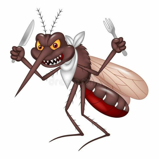 Imagem do grupo Os mosquitos