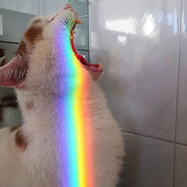 Imagem do grupo 🫧🏳️‍🌈Lar LGBT🏳️‍🌈🫧