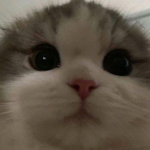 Imagem do grupo 🕸️፝⃟GRUPO DE FIGURINHASོ