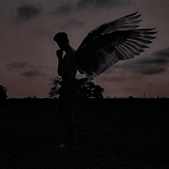 Imagem do grupo 𝒂𝒆𝒔𝒕𝒉𝒆𝒕𝒊𝒄 𝒍𝒐𝒇𝒊 𝒇𝒓𝒊𝒆𝒏𝒅𝒔 🌌