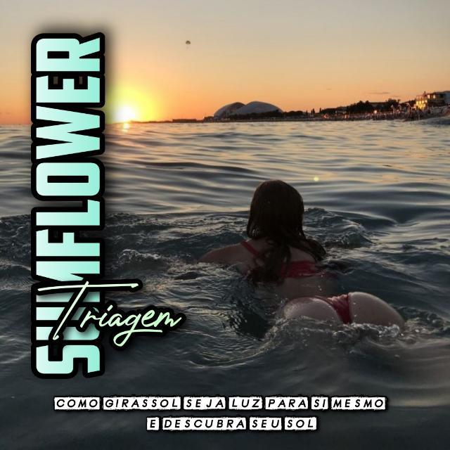 Imagem do grupo 🌻▫️TRIAGEM SUNFLOWER ³▫️🌻