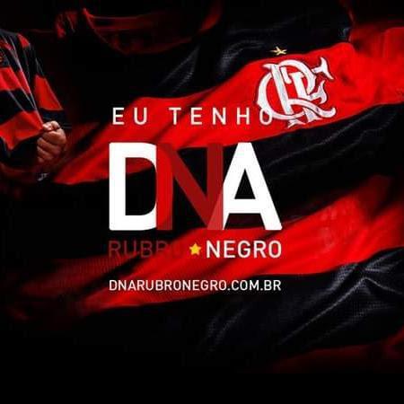 Imagem do grupo DNA 💫 RUBRO NEGRO 8️⃣1️⃣