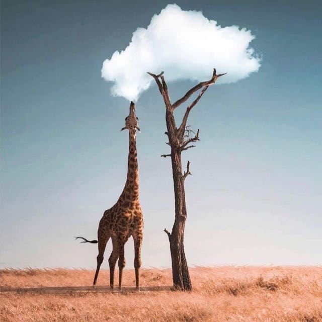 Imagem do grupo Filmes românticos ❤️