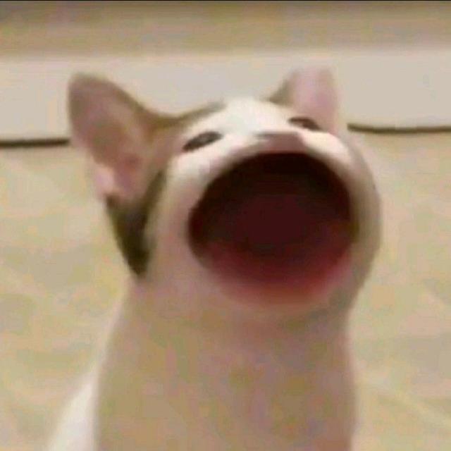 Imagem do grupo 𝓕 𝓲 𝓰 𝓾 𝓻 𝓲 𝓷 𝓱 𝓪 𝓼 ♡