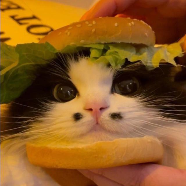 Imagem do grupo Bem vindo! 🐶🩵✨