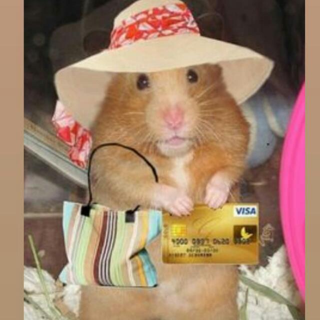 Imagem do grupo Os extraterrestres👽