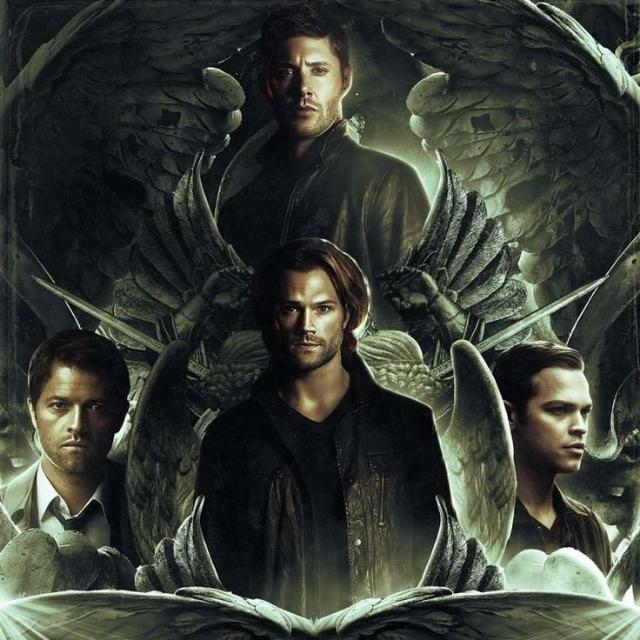 Imagem do grupo ꧁SUPERN⛦TURAL꧂