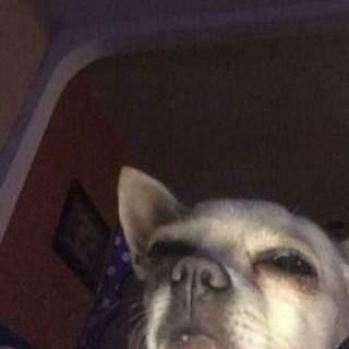 Imagem do grupo Zueira total 😬