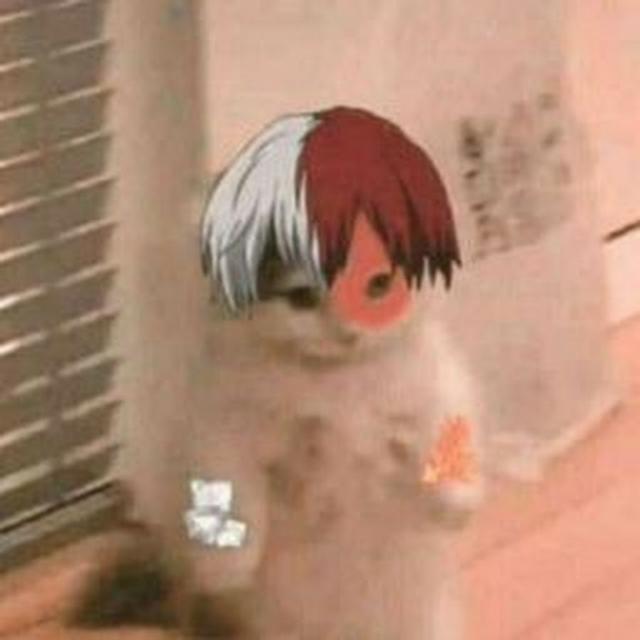 Imagem do grupo Zoação e Otakus