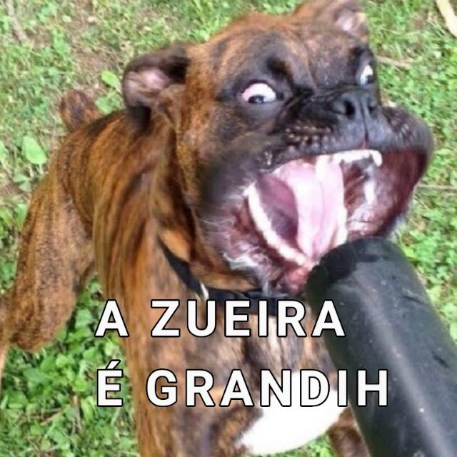 Imagem do grupo Um Grupo... De pessoas