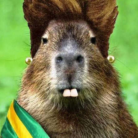 Imagem do grupo Capivaras😝