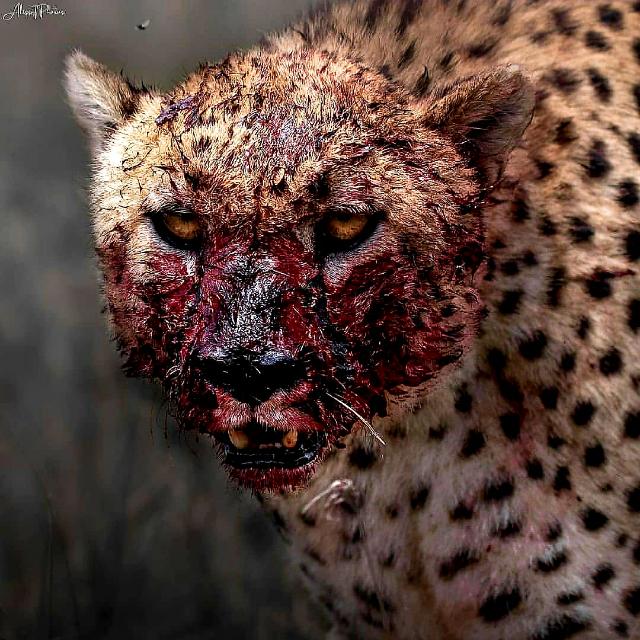 Imagem do grupo Nature Is Metal