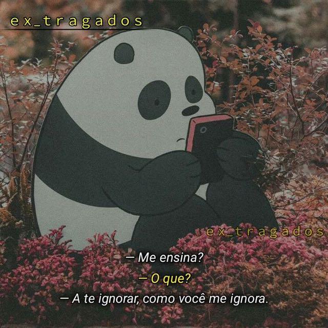 Imagem do grupo ꧁Lótus 0.1꧂ 𝓣𝓡𝓟 ✝︎