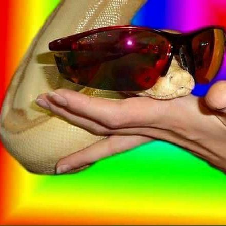 Imagem do grupo Figurinhas 3.0