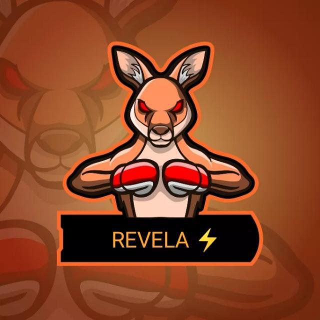 Imagem do grupo REVELA ⚡