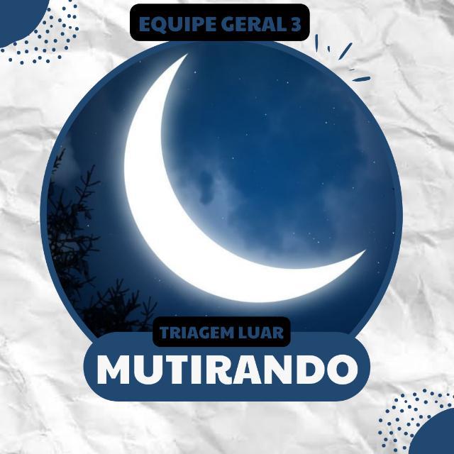 Imagem do grupo [🌙] TRIAGEM LUAR | MUTIRANDO³