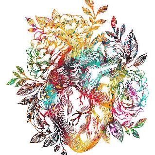 Imagem do grupo Desabafo Emocional