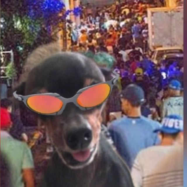 Imagem do grupo CELULAR VIBRA SEM PARAR😌