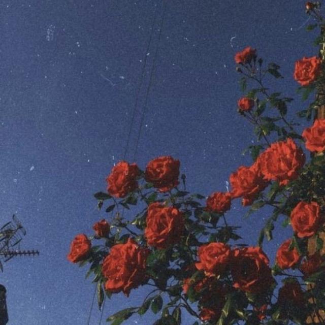 Imagem do grupo 🏳️‍🌈🔥NOVAS AMIZADES🔥🏳️‍🌈